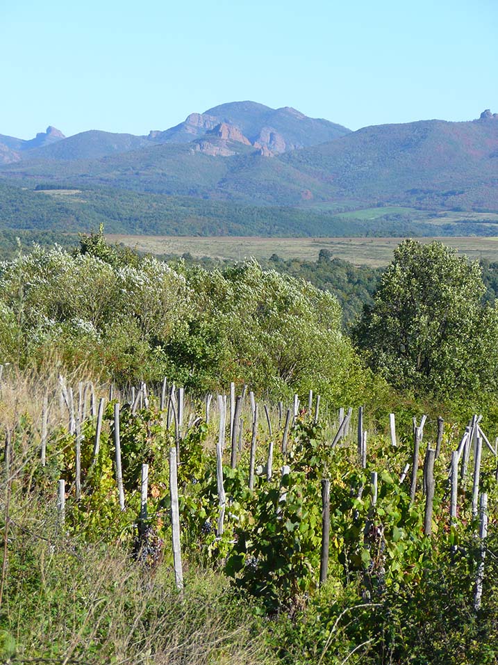 Gjurgitscher Felsen aus dem Kletterführer Paules Kletterbibel Belogradtschik