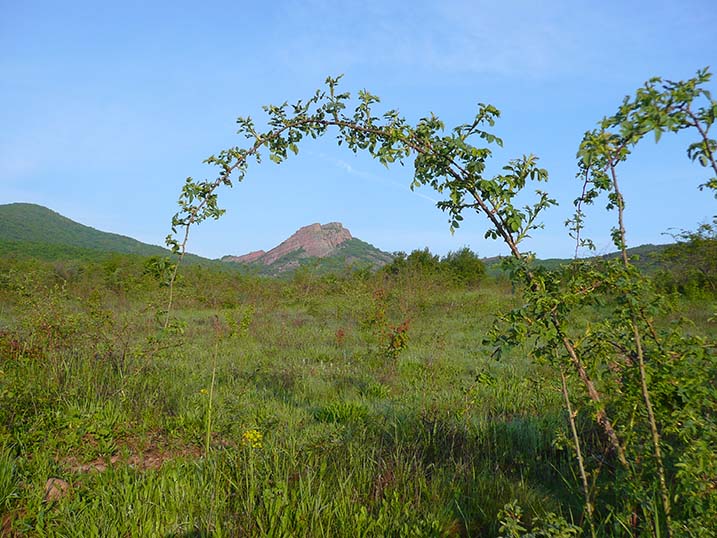 Klettern am Berg Babu Gebiet Gjurgitsch Kletterführer Paules Kletterbibel Belogradtschik