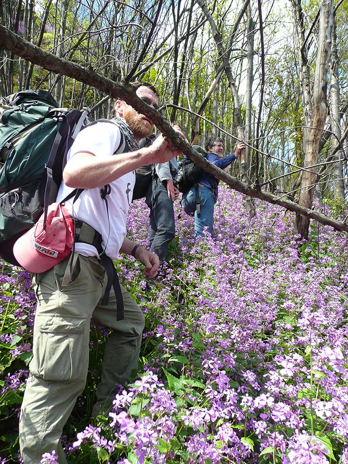 Mondviolen am Spitzen Stein aus dem Kletterführer Paules Kletterbibel Belogradtschik